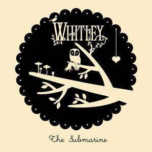 More Than Life Whitley | Album Cover