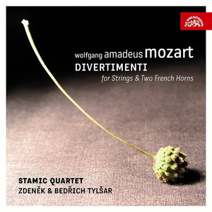 Divertimento for Strings and Two French Horns in F major, K. 247: III. Menuetto - Stamic Quartet | Song Album Cover Artwork