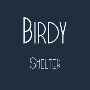 Shelter - Birdy | Song Album Cover Artwork
