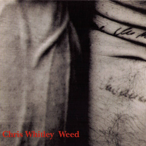 Living With the Law - Chris Whitley | Song Album Cover Artwork