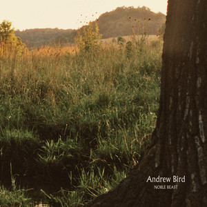 Oh No - Andrew Bird | Song Album Cover Artwork