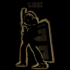 Bang a Gong (Get It On) T. Rex | Album Cover