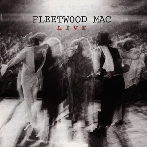 Don't Stop Fleetwood Mac | Album Cover