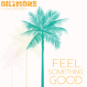 Feel Something Good - Biltmore | Song Album Cover Artwork