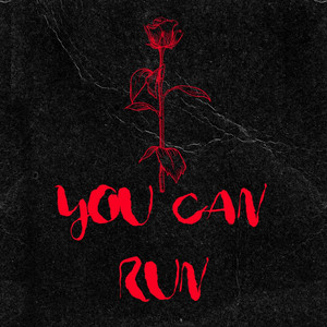 You Can Run - Adam Jones | Song Album Cover Artwork