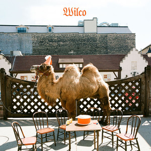 Solitaire - Wilco | Song Album Cover Artwork