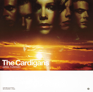 My Favourite Game - The Cardigans | Song Album Cover Artwork