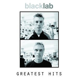 This Night - Black Lab | Song Album Cover Artwork