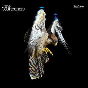 Take Over The World The Courteeners | Album Cover