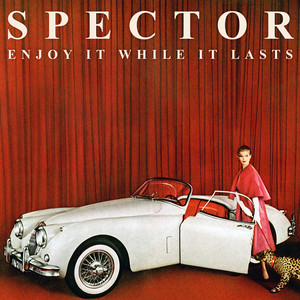 Grey Shirt & Tie - Spector | Song Album Cover Artwork
