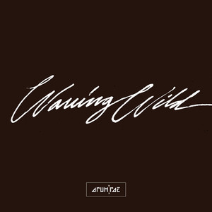 What Good Is a Heart - Arum Rae | Song Album Cover Artwork