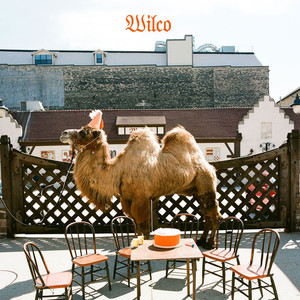 I'll Fight Wilco | Album Cover