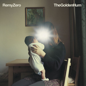 Perfect Memory (I'll Remember You) - Remy Zero | Song Album Cover Artwork