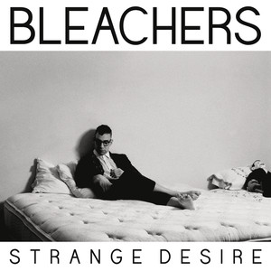 Rollercoaster Bleachers | Album Cover