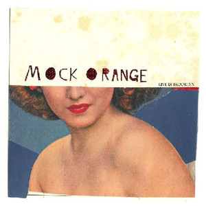 Supergang - Mock Orange | Song Album Cover Artwork