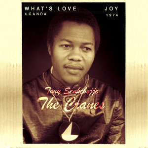 Joy The Cranes | Album Cover