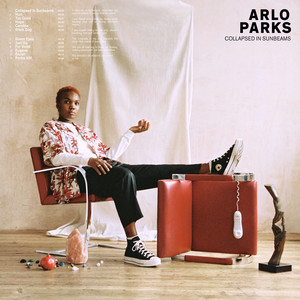 Black Dog - Arlo Parks | Song Album Cover Artwork