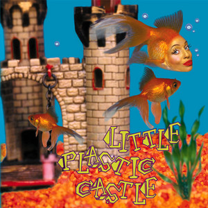 Little Plastic Castle - Ani DiFranco | Song Album Cover Artwork