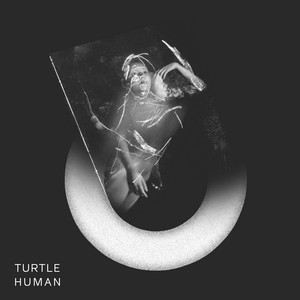 Elephant Turtle | Album Cover