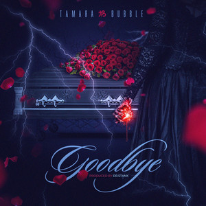 Goodbye Tamara Bubble | Album Cover