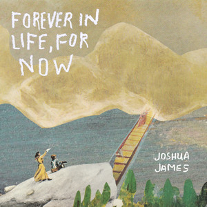 High Low Joshua James | Album Cover