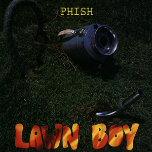 Bouncing Around the Room - Phish | Song Album Cover Artwork