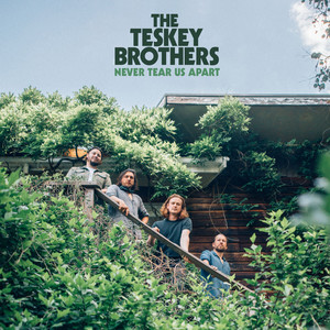 Never Tear Us Apart - The Teskey Brothers | Song Album Cover Artwork