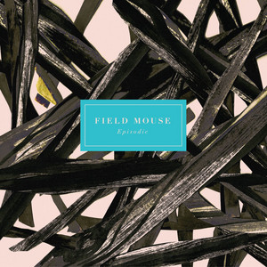 The Order of Things Field Mouse | Album Cover