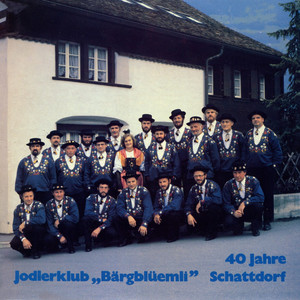Jänzigrat-Jüz Jodlerklub Bärgblüemli Schattdorf | Album Cover