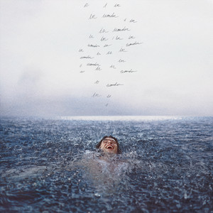 Wonder - Shawn Mendes | Song Album Cover Artwork
