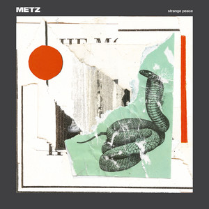 Common Trash - Metz | Song Album Cover Artwork