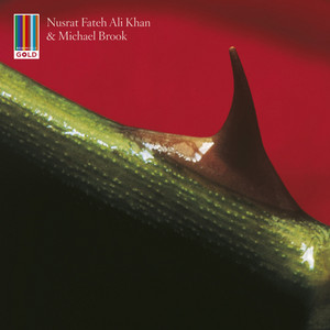 Night Song - Nusrat Fateh Ali Khan & Michael Brook | Song Album Cover Artwork