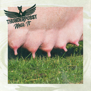Never Know - Thunderpussy | Song Album Cover Artwork