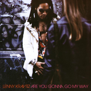 Is There Any Love In Your Heart - Lenny Kravitz | Song Album Cover Artwork