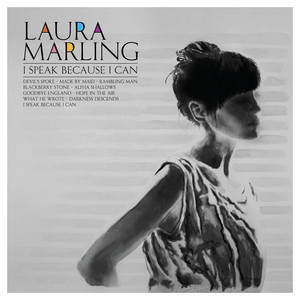 Blackberry Stone - Laura Marling | Song Album Cover Artwork