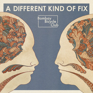 Take The Right One - Bombay Bicycle Club | Song Album Cover Artwork