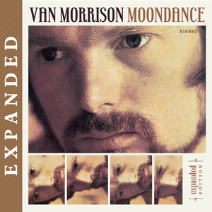 Brand New Day Van Morrison | Album Cover
