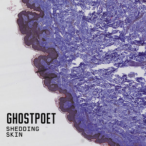 That Ring Down the Drain Kind of Feeling - Ghostpoet | Song Album Cover Artwork