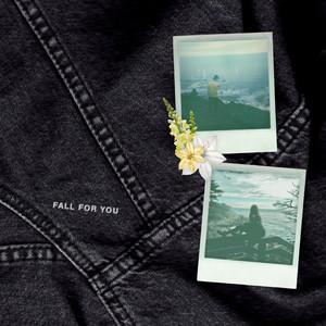 fall for you - Steve James