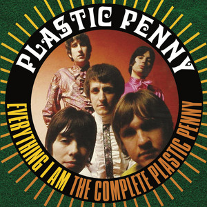 I Want You - Stereo Plastic Penny | Album Cover