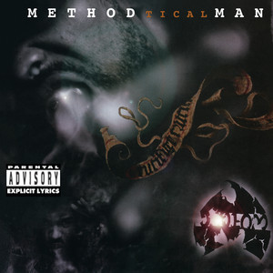 Bring The Pain - Method Man | Song Album Cover Artwork