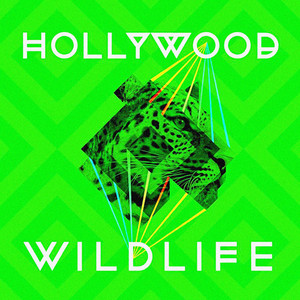 Hey Hi Hello - Hollywood Wildlife | Song Album Cover Artwork