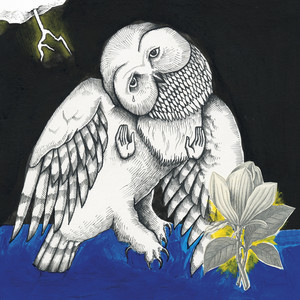 Farewell Transmission - Songs: Ohia | Song Album Cover Artwork