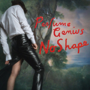 Run Me Through - Perfume Genius | Song Album Cover Artwork