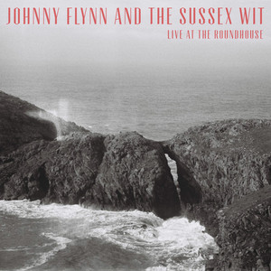 Detectorists (Full Studio Version) Johnny Flynn | Album Cover