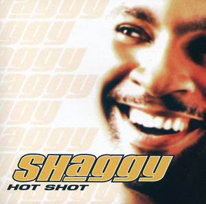 It Wasn't Me - Shaggy | Song Album Cover Artwork