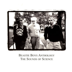 So What'Cha Want - Beastie Boys | Song Album Cover Artwork