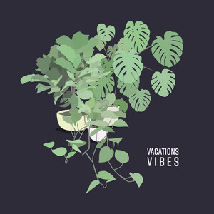 Young - Vacations