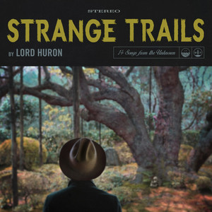 Meet Me in the Woods Lord Huron | Album Cover