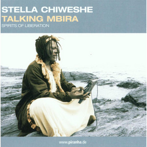 Huvhimi - Stella Chiweshe | Song Album Cover Artwork